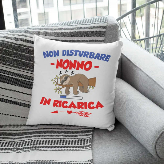 Cuscino Non Disturbare Nonno In Ricarica