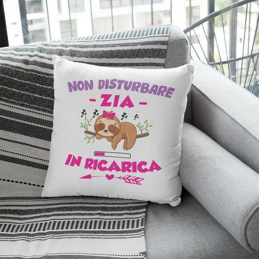 Cuscino Non Disturbare Zia In Ricarica